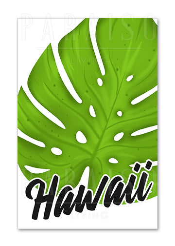 Monstera Hawaii – PARAISOLIVING