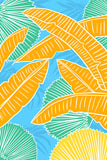 Orange Banana Leaves Plants