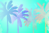 Water Color Palm Trees