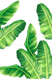 Tropical Palm Leaves set of 3