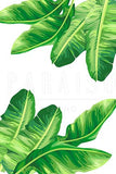 Tropical Palm Leaves set of 3