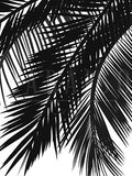 Vintage Black Palm leaves