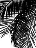 Vintage Black Palm leaves