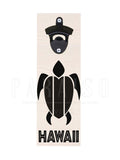Turtle Hawaii