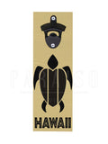 Turtle Hawaii
