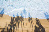 Palm Tree Shadow on the Shore