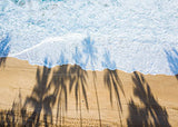 Palm Tree shadow on the shore
