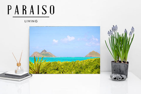 Kailua Island View