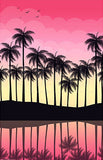 Island Reflection Palm Trees