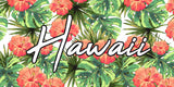 Hawaii Hibiscus Tropical