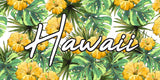 Hawaii Hibiscus Tropical