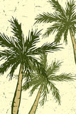 Retro Palm Tree set of 3
